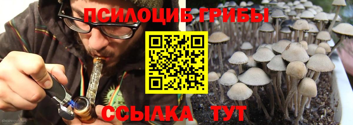 Галлюциногенные грибы GOLDEN TEACHER Октябрьский